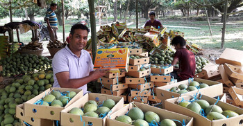 Rich fields, empty pockets: Why agricultural exports not flourishing