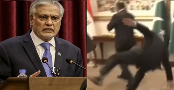 মিশরের পররাষ্ট্রমন্ত্রীকে স্বাগত জানাতে গিয়ে পড়ে গেলেন ইশহাক দার