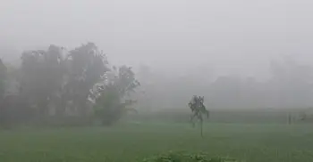 পঞ্চগড়ে চৈত্রের আকাশে ঘন কুয়াশা