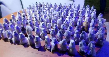 পঞ্চগড় সীমান্তে চোরাকারবারিদের বিজিবির গুলি, ফেনসিডিল জব্দ