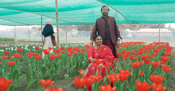 তেঁতুলিয়ার টিউলিপ বাগান দেখতে পর্যটকের ভিড়