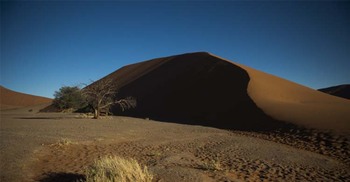 স্পেন, সুইজারল্যান্ড অথবা জার্মানির চেয়েও বড় যে ৫ জাতীয় উদ্যান