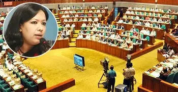 মনোনয়ন না দেওয়ায় বিএনপিকে ধন্যবাদ জানালেন রুমিন ফারহানা