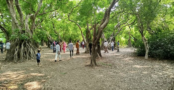 রাতারগুলের বুনোজলে অন্যরকম আনন্দ