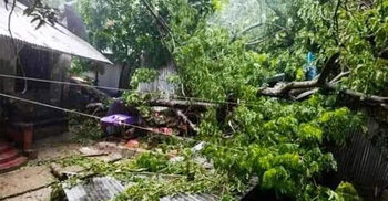 ঘূর্ণিঝড় রিমালে পিরোজপুরে ৫ জনের মৃত্যু