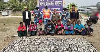 কোস্টগার্ডের অভিযানে ৪৯১ হাঙর জব্দ, ৯ জেলেকে জরিমানা