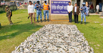 পিরোজপুরে ১০ মণ জাটকাসহ দুই ট্রলার জব্দ, ৩ জনের কারাদণ্ড