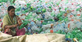 Scientists find plastic-decomposing abilities of African mealworm