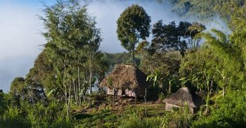 64 shot dead in Papua New Guinea ambush