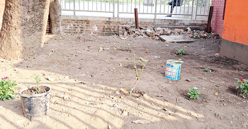 ফুলগাছ খাওয়ায় ১২ ছাগলকে থানায় নিলো পুলিশ, মালিকদের জরিমানা