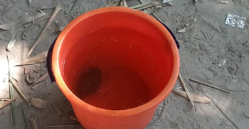 লালমনিরহাটে মাটির নিচে মিললো পরিত্যক্ত গ্রেনেড