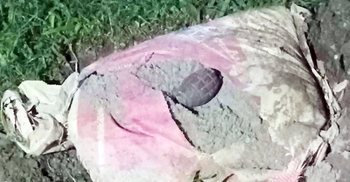 কুষ্টিয়ায় গ্রেনেডসদৃশ বস্তু উদ্ধার