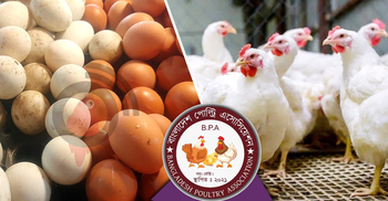 Farmers threaten to halt egg, chicken production from Jan 1