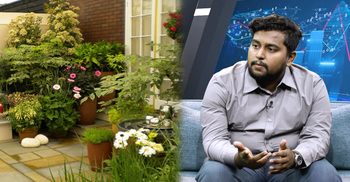 যেভাবে সহজেই করতে পারেন ছাদবাগান