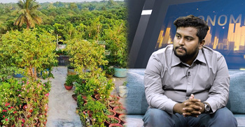 কেমন বাজেটের মধ্যে করা যায় ছাদবাগান?