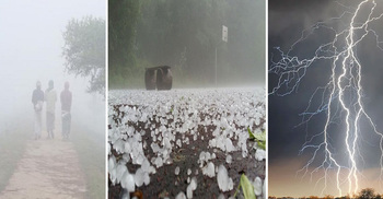 শীতের সর্বনাশা থাবা, ফেব্রুয়ারিতে তীব্র শৈত্যপ্রবাহের সতর্কতা