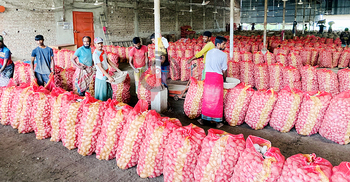 হিমাগারের আলু বাজারে আসতেই কেজিতে বাড়ে ১০ টাকা