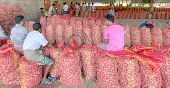 আলুতে ‘আলাদিনের চেরাগ’