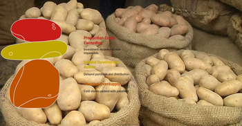 Farmers suffer losses as govt didn’t buy potato despite pledge