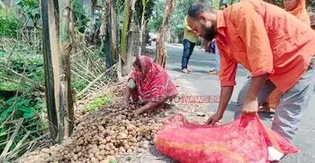 আলু এখন ‘গলার কাঁটা’