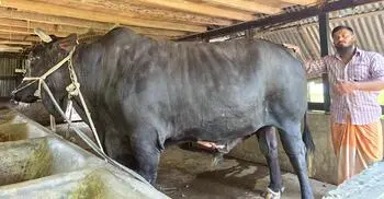 খালেদা জিয়াকে উপহার দেওয়া সেই কালো মানিক বিক্রির অপেক্ষায়, দাম ২২ লাখ