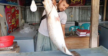 ২৭ কেজির কোরাল মাছ সাড়ে ৪০ হাজারে বিক্রি