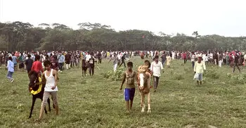 পহেলা বৈশাখে পটুয়াখালীতে ঘোড়দৌড়