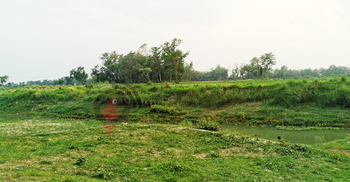 এক যুগ ধরেই শুধু তৎপরতা, বাস্তবায়নে নেই অগ্রগতি