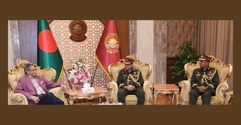 Army CGS, PSO call on President