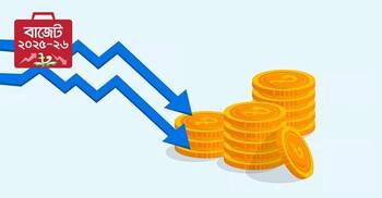 Budget 2025-26: Products with potential price reductions
