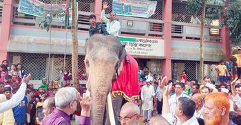 হাতির পিঠে চড়ে অধ্যক্ষের রাজকীয় বিদায়