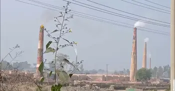 নাকের ডগায় ৩০০ অবৈধ ইটভাটা, জরিমানায় দায় সারছে প্রশাসন