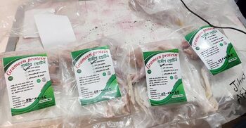 দেশি মুরগির ব্র্যান্ড গ্রামীণ প্রোটিন-এর যাত্রা শুরু