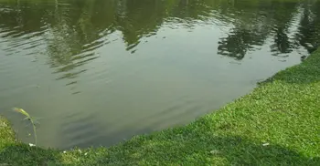 আর্জেন্টিনার খেলা দেখার সময় খালে পড়ে প্রাণ গেল যুবকের