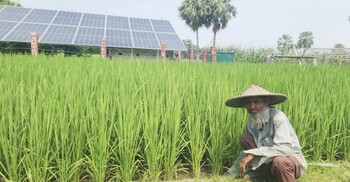 ডিজেল সংকটে সৌরবিদ্যুতের নলকূপই কৃষকের ভরসা