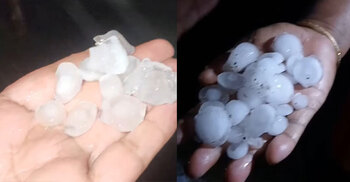 শেরপুরে হঠাৎ শিলাবৃষ্টি, ধান ও কলাচাষিদের ক্ষতির শঙ্কা