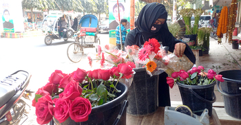 ভালোবাসা দিবসের আগেই দাম বেড়েছে গোলাপের, প্রতিপিস ৫০-১০০