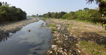 রাসিকের দূষণে ধুঁকছে প্রমত্তা বারনই নদী