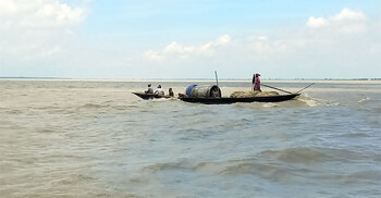 ফারাক্কার গেট খোলার পরও রাজবাড়ীতে কমছে পদ্মার পানি