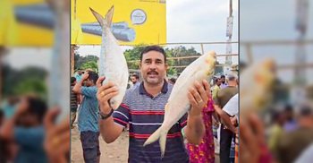 পদ্মায় ধরা পড়া দুই ইলিশ সাড়ে ১৭ হাজারে বি‌ক্রি
