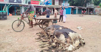 রাজারহাটের চামড়া ব্যবসায়ীদের ব্যাপক প্রস্তুতি