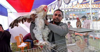 রাজবাড়ীতে প্রা‌ণিসম্পদ সপ্তাহের উদ্বোধন