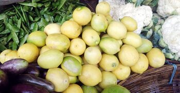 রংপুরে কমেছে লেবু-শসার দাম