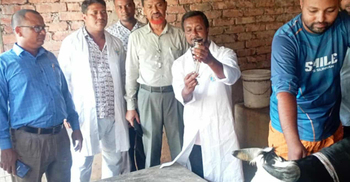 রংপুরে ৮ জনের শরীরে অ্যানথ্রাক্স শনাক্ত