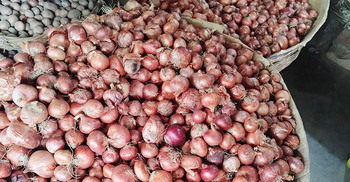 রংপুরে পেঁয়াজের দাম কমে কেজি ৫০ টাকা