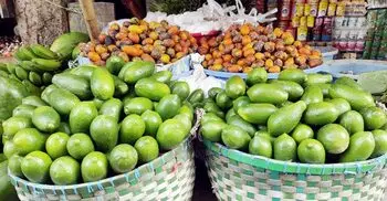 ফের বেড়েছে লেবুর দাম, হালি ১২০ টাকা