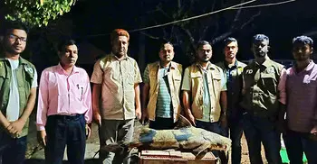 কাপ্তাইয়ে ১৬ কেজির মহাবিপন্ন বাঘা আইড় জব্দ