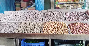 রংপুরে কমেছে পেঁয়াজ-কাঁচামরিচ-ডিমের দাম