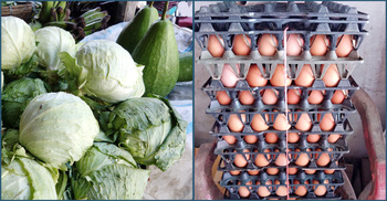 রংপুরে বেড়েছে সবজি-কাঁচামরিচের দাম, কমেছে ডিমের