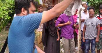 কুষ্টিয়ায় রাসেলস ভাইপারের কামড়ে দুজনের মৃত্যু